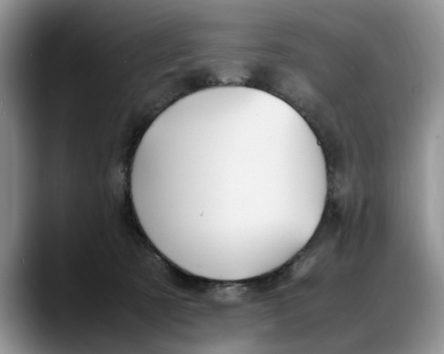 X0000088230321200705292139