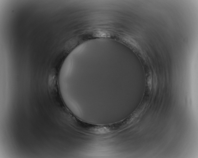 X0000088230322200705292139