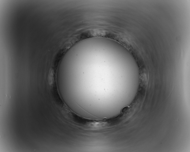 X0000088230323200705292139