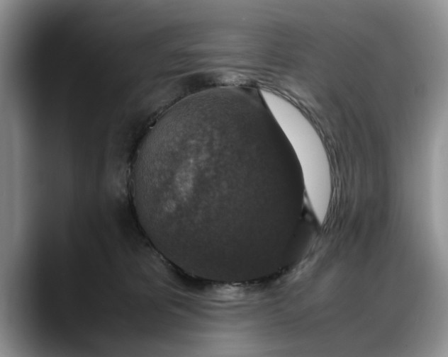 X0000088230325200705292139