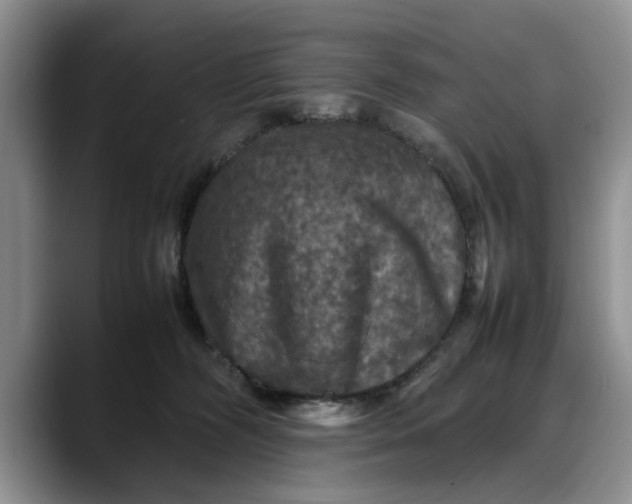 X0000088230326200705292139