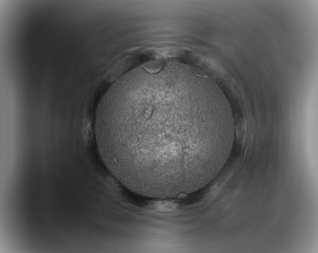 X0000088230327200705292139