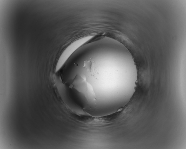 X0000088230329200705292139