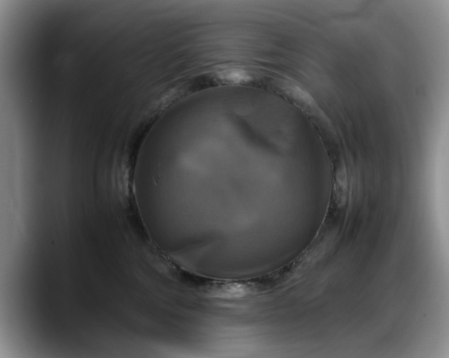 X0000088230330200705292139
