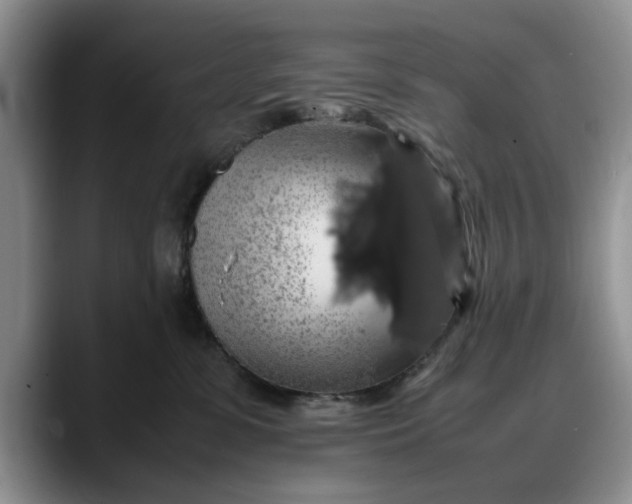 X0000088230331200705292139