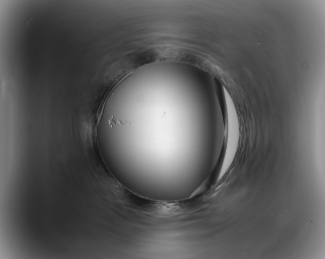 X0000088230333200705292139