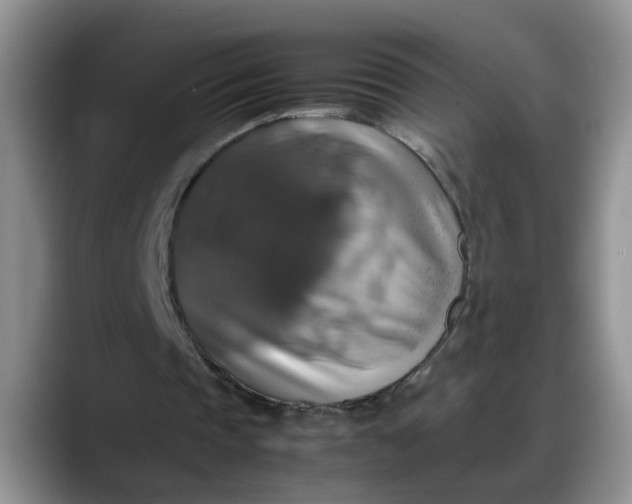 X0000088230337200705292138