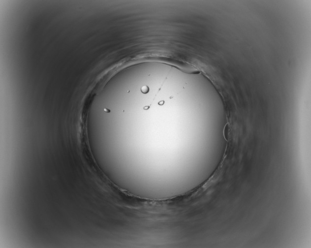 X0000088230338200705292138