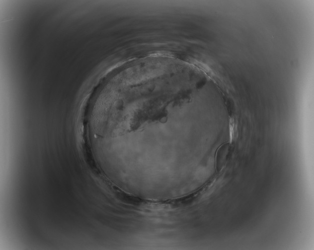 X0000088230339200705292138