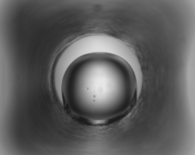 X0000088230340200705292138