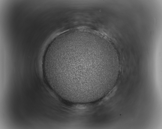 X0000088230341200705292138