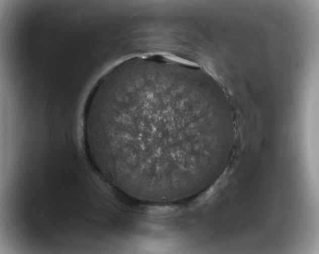 X0000088230342200705292138