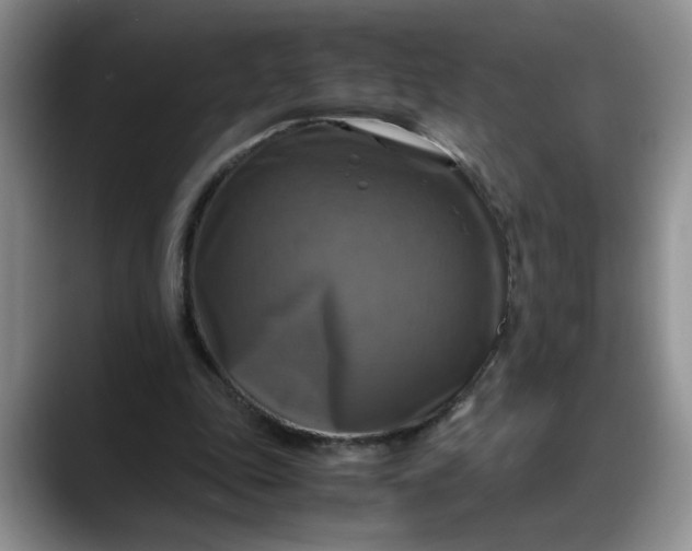X0000088230343200705292138