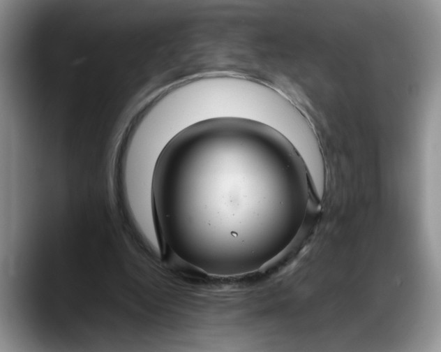 X0000088230344200705292138