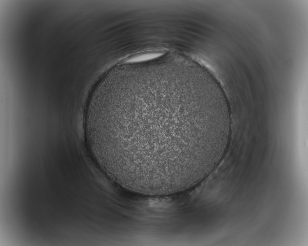 X0000088230345200705292138