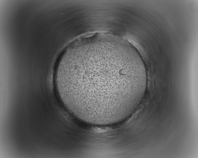 X0000088230346200705292138
