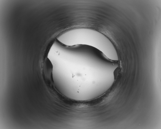 X0000088230348200705292138
