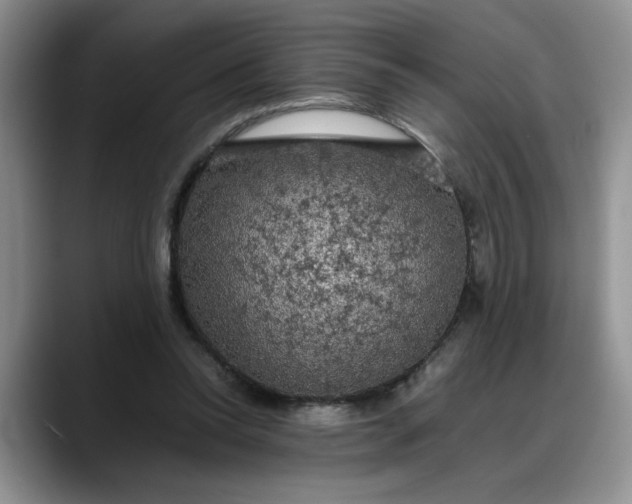 X0000088230350200705292138