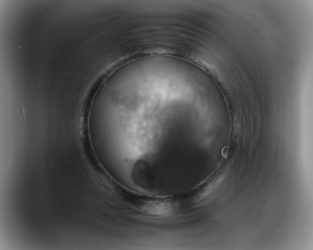 X0000088230351200705292138