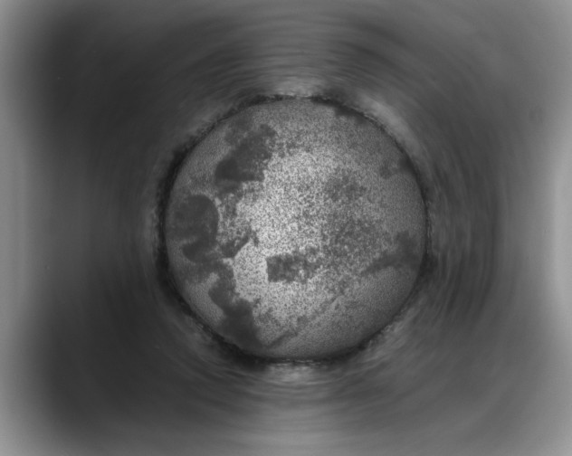 X0000088230354200705292138