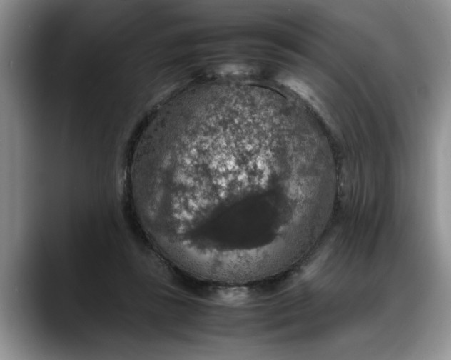 X0000088230355200705292138