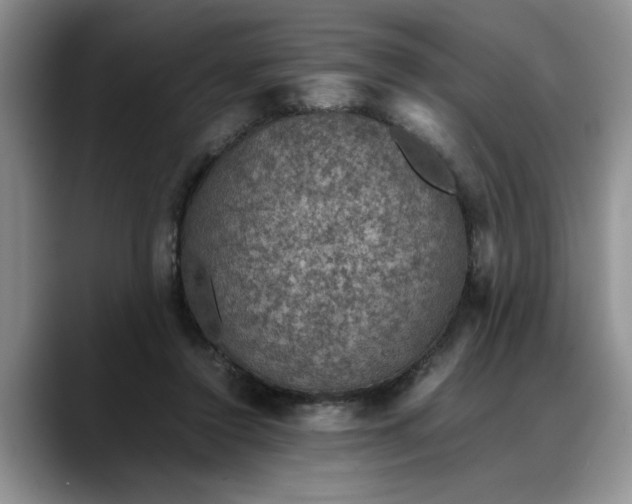X0000088230356200705292138