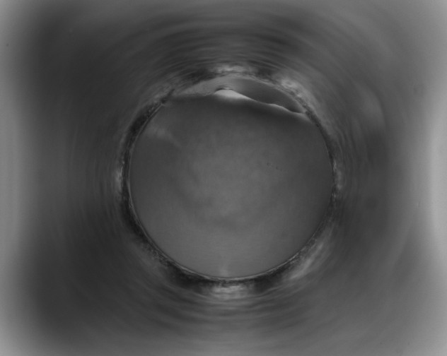 X0000088230357200705292138