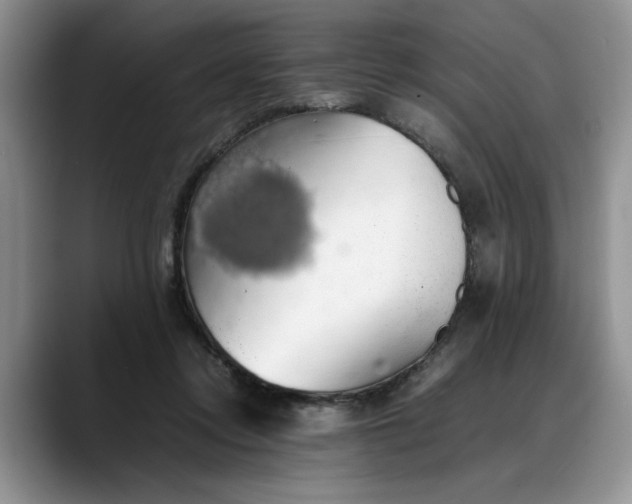 X0000088230358200705292138