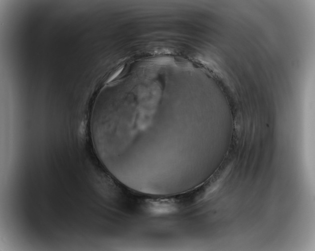 X0000088230359200705292138