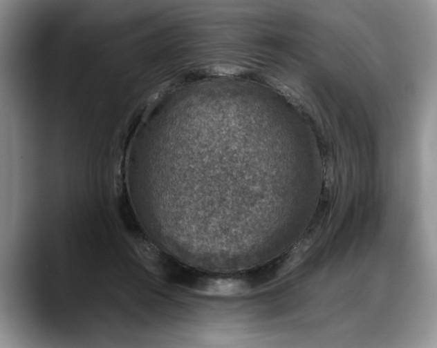 X0000088230360200705292138