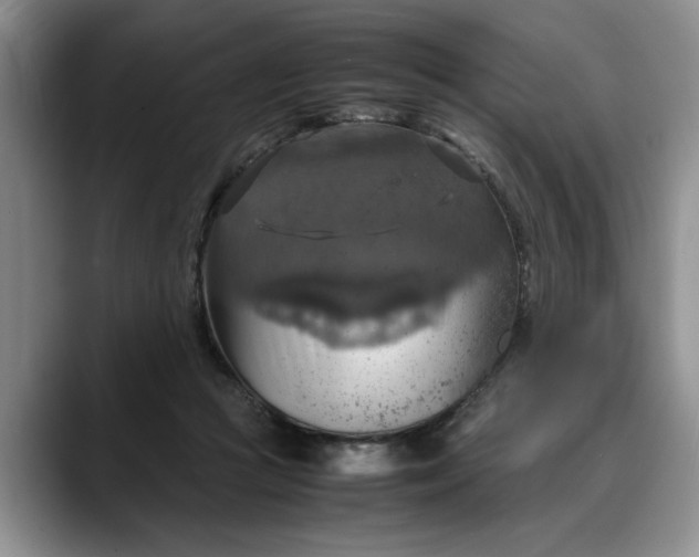 X0000088230361200705292138