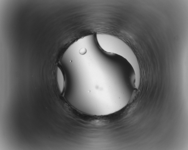 X0000088230364200705292138