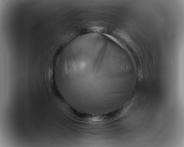 X0000088230365200705292138