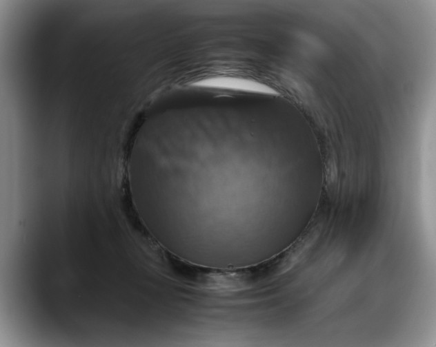X0000088230367200705292138