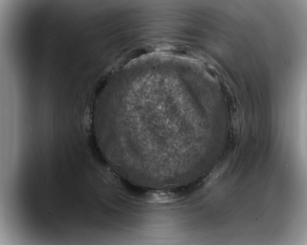 X0000088230372200705292138