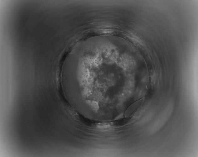 X0000088230373200705292139