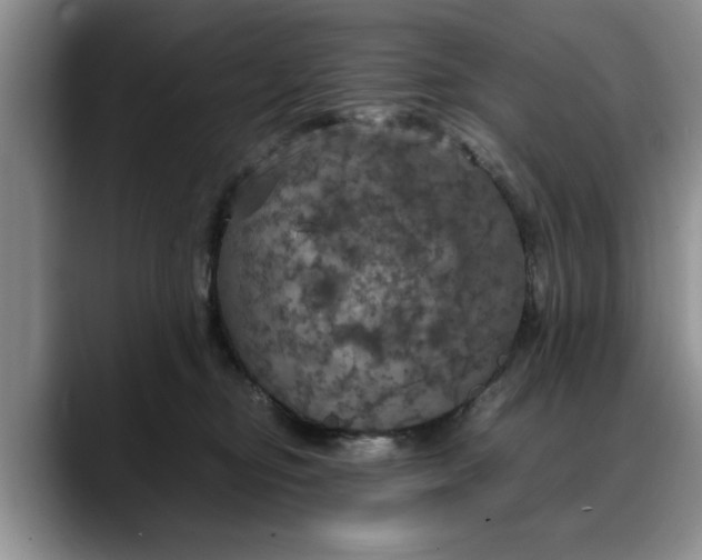 X0000088230374200705292139