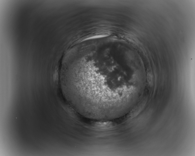 X0000088230375200705292139