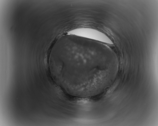 X0000088230377200705292139
