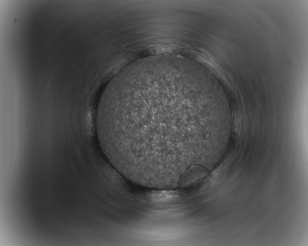 X0000088230378200705292139