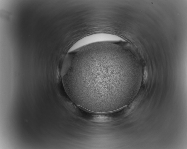 X0000088230380200705292139