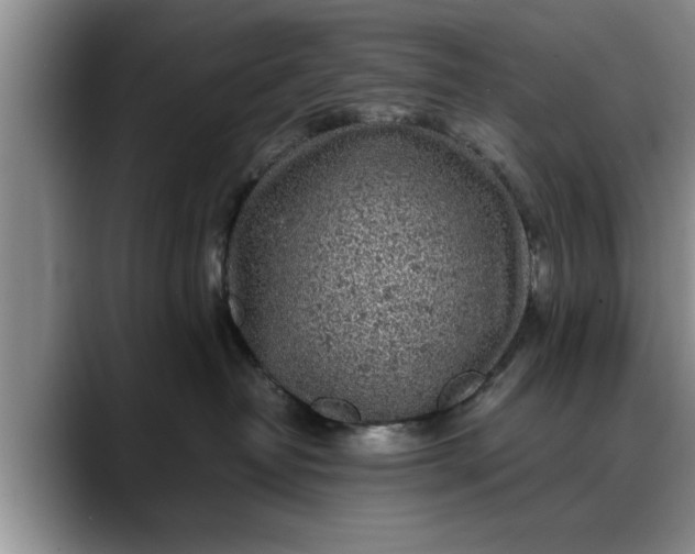 X0000088230382200705292139