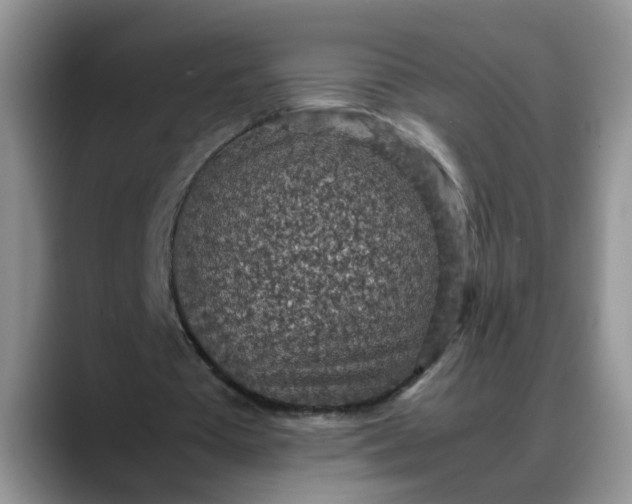 X0000088230385200705292138