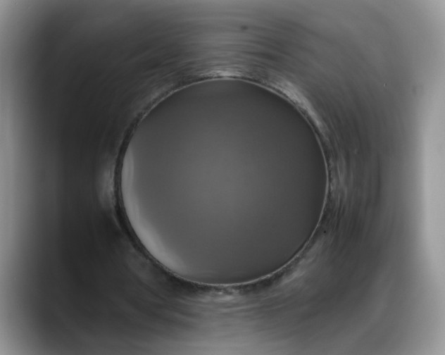 X0000088230386200705292138