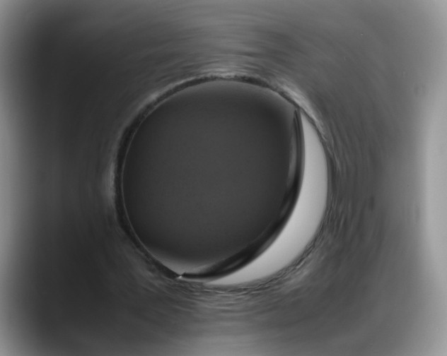 X0000088230387200705292138