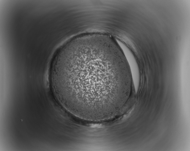 X0000088230388200705292138