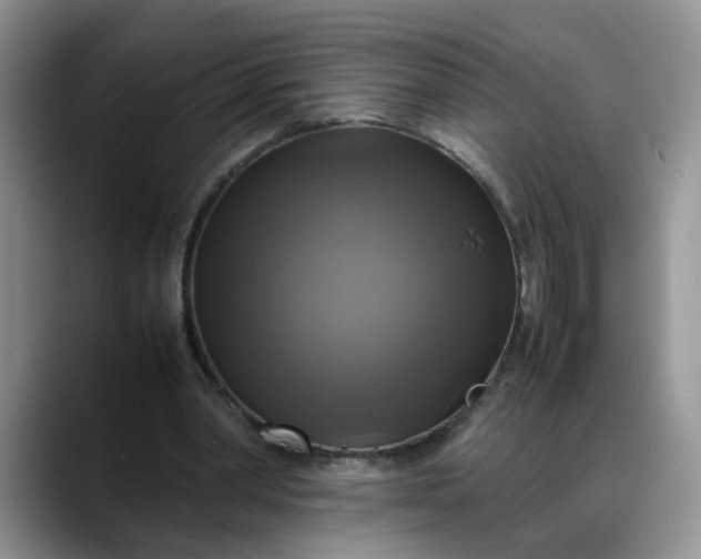 X0000088230390200705292138