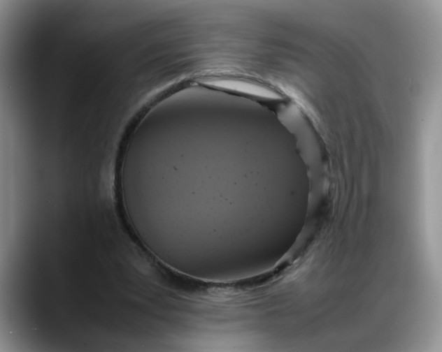X0000088230391200705292138