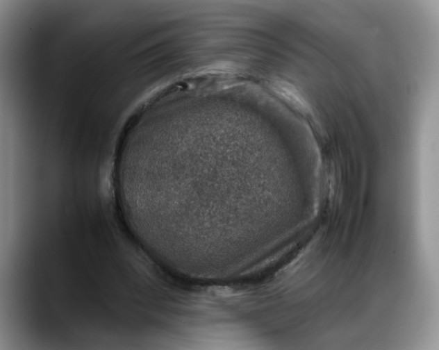 X0000088230392200705292138