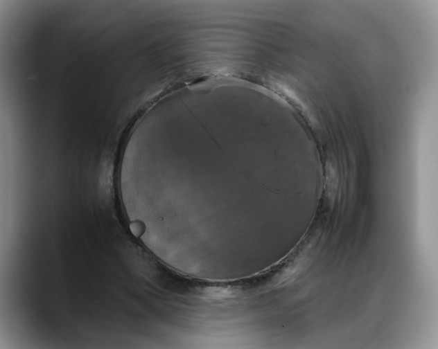 X0000088230394200705292138